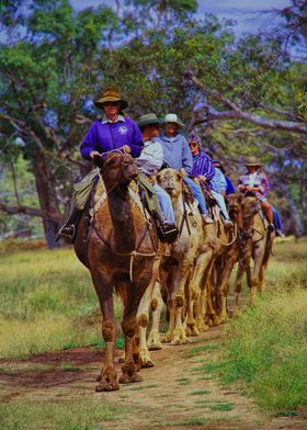 Camel Ride in Australia
