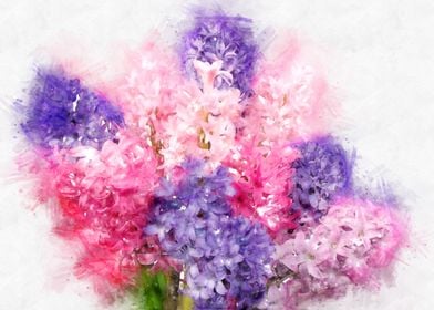 Hyacinth  watercolor