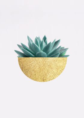 Botanical composition XXII