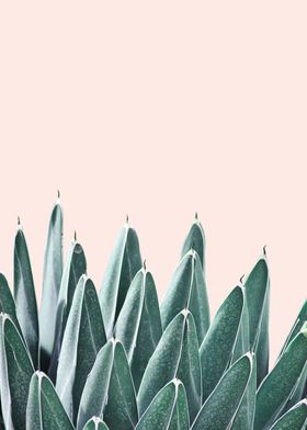 Botanical composition XXI