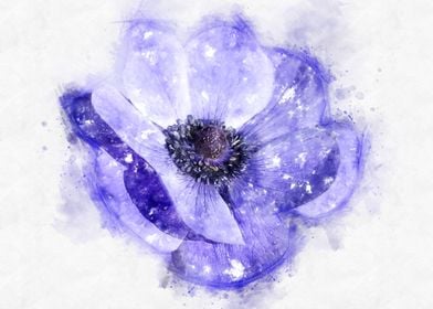 Anemone watercolor 