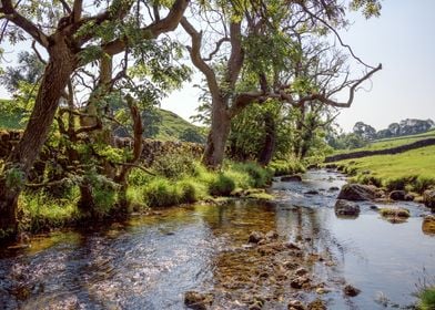 Malham Cove Landscape