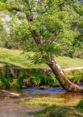 Malham Cove Landscape