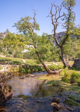 Malham Cove Landscape