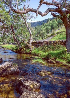 Malham Cove Landscape