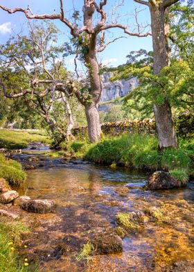 Malham Cove Landscape