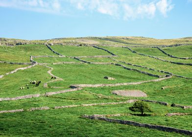 North Yorkshire Landscape