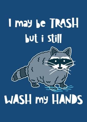 Racoon Wash Your Hands