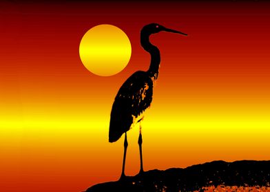Egret at sunset