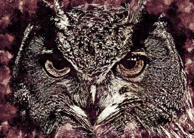 Owl Sharp Eyes Art