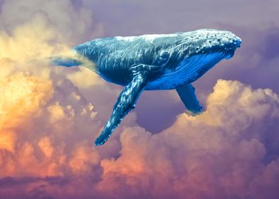 Cloud Whale Watching