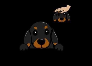 Dachshund  Wiener Dog Pup