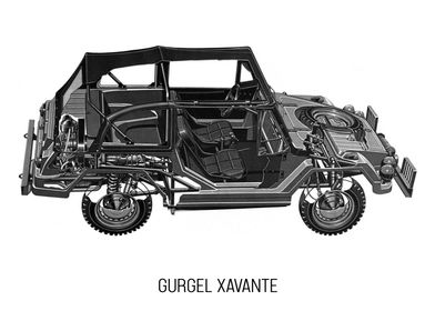 Gurgel Xavante