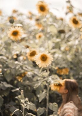 Girl in sunflowers