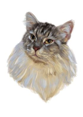 Portrait of Maine Coon cat