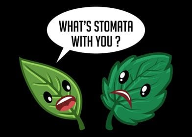 Stomata Leaf Funny Funny G