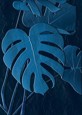 Monstera Leaves 