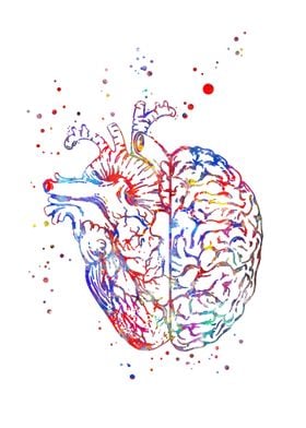 Brain and heart