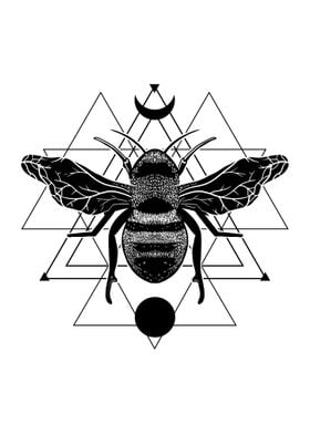 Geometric Occult Bee