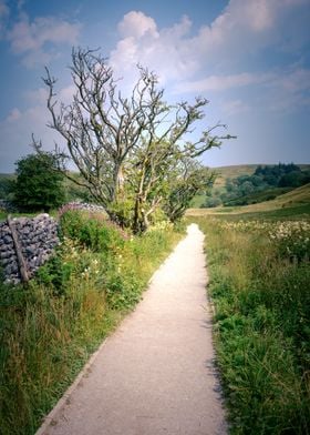 Yorkshire landscape