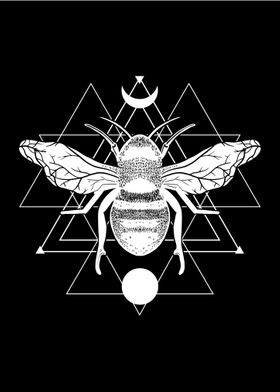 Geometric Occult Bee