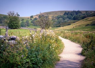 Yorkshire landscape