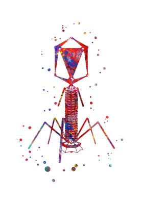 Bacteriophage virus 