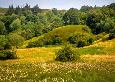 Yorkshire landscape