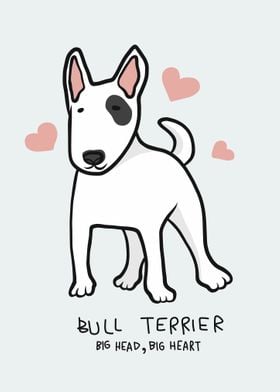 Bull Terrier big heart