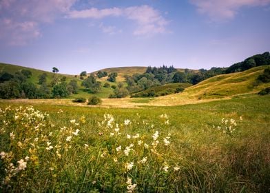 Yorkshire landscape