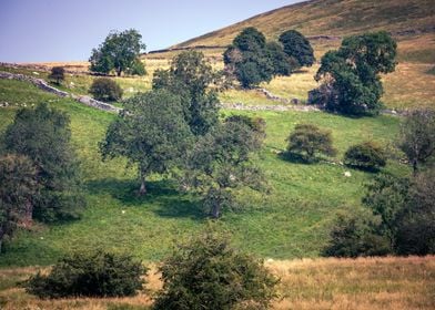 Yorkshire landscape