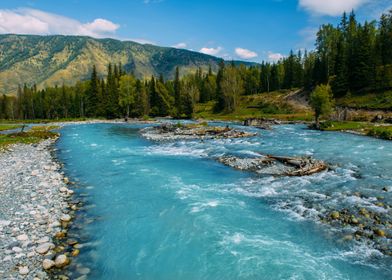 River mountains and forest