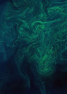Algal bloom from space
