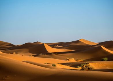 Sahara Desert Sand Dunes