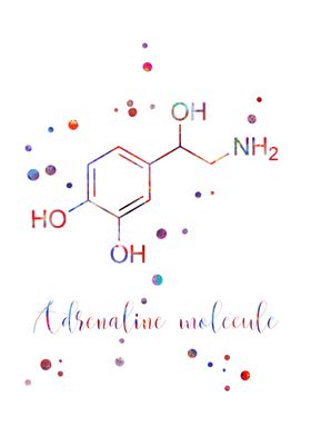 Adrenaline molecule