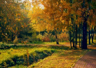 Autumn in the Park