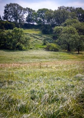 North Yorkshire landscape