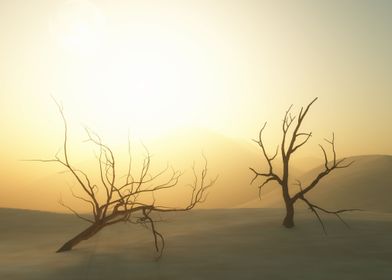 Dry trees in desert 