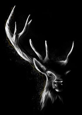 Deer in the Dark