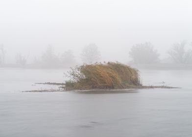 Fog on the river Oder