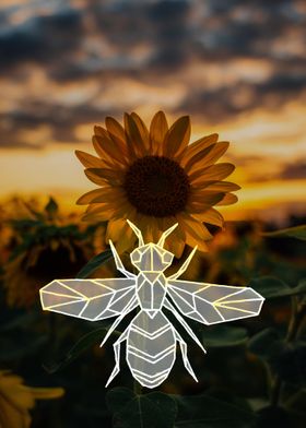 Sunflower wasp at sunset