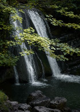 Woodland River