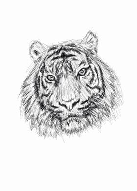 Tiger Scribble Artwork