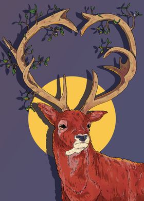 deer