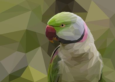 Green Nuri Bird