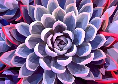 Red and Purple Succulent