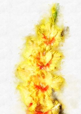 yellow gladiolus  