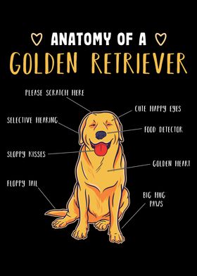 Golden Retriever Gift