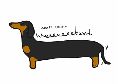 Long weekend dachshund