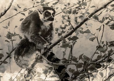 Lemurs painting